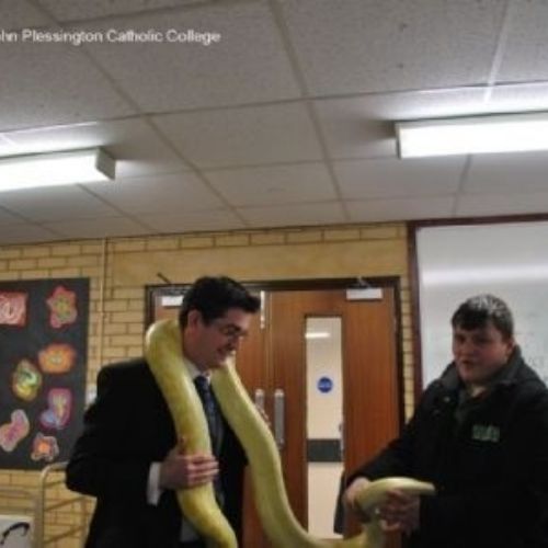 Wirral Herpetological Society (41).JPG